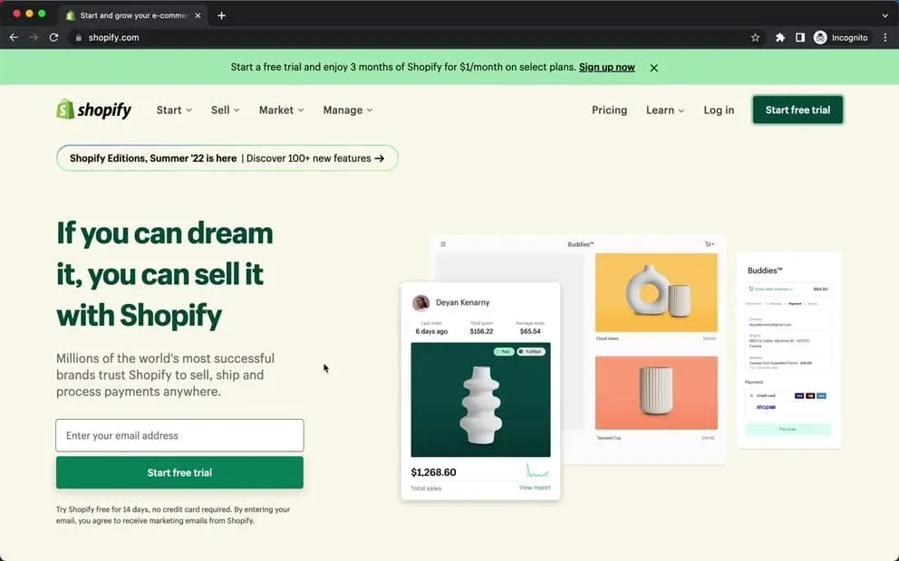 Shopify website
